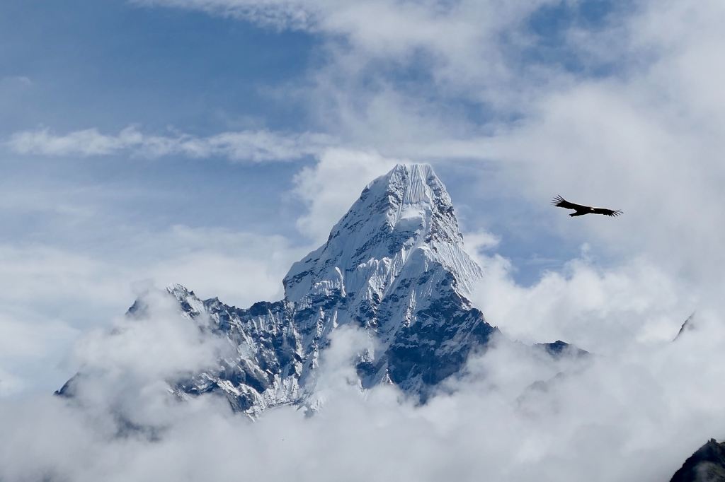 Photo of a snow-capped mountain covered in mist with an eagle soaring above. 